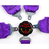 Camlock Quick-Release Harness Pull Down Style - image 2