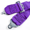 Camlock Quick-Release Harness Pull Down Style - image 3