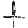 5-Point Safety Harness Quick Release - image 1