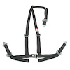 NON-SFI B&T HARNESS 2 PULL DOWN Lap Belt 2 S. H. V ROLL BAR Mount ALL BOLT ENDS BLACK