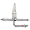 5-Point Safety Harness Gray - image 1