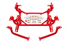 K-MEMBER S550 STANG RED - image 1
