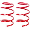 Handling Lowering Spring Kit 2007-14 Mustang Shelby GT500 - image 1