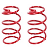 Drag Style Lowering Spring Kit 2007-2014 Mustang Shelby GT500 - image 1