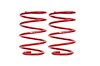 LOWERING SPRINGS FRT G8 R - image 1