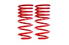 LOWERING SPRINGS RR G8 RD - image 1