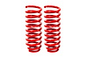 LOWERING SPRINGS FRT TB R - image 1