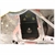 Torque Box Reinforcement Plate Kit for 1979-2004 Ford Mustang - image 3