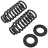 Front Pro Coil Spring Set 2003-2005 Ford Expedition/Lincoln Navigator - image 1
