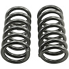 Front Standard Coil Spring Set 1994-1999 Dodge Ram - image 1