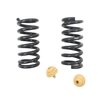 Front Standard Coil Spring Set 1997-2004 Dodge Dakota - image 3