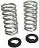 Front Coil Spring Set - image 1
