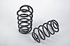 Rear Spring Set 1982-1992 GM F-Body - image 1