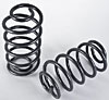 Rear Spring Set 1973-1977 GM A-Body - image 1