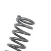 Front Spring Set 1970-1981 GM F-Body - image 3