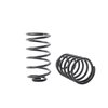 Rear Spring Set 1964-1966 GM A-Body - image 2