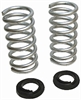 LOWERING KIT W/O SHOCKS - image 1