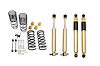 SP ADJ COILOVER KIT - image 1