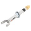 SP OEM STRUT - image 2