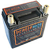 *Used* Carbon Fiber Racing Battery 11.5 lbs - image 1