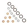 ISB INJECTOR SEAL KIT - image 1
