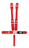 11002DB Latch and Link Harness [5-Point, 3 in Belts, 50 in Length, Pull-Down, Dog Bone, Bolt-In, Red]