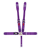 11005DB Latch and Link Harness [5-Point, 3 in Belts, 50 in Length, Pull-Down, Dog Bone, Bolt-In, SFI 16.1, Purple] - image 1