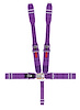 11015DB Latch and Link Harness [5-Point, 3 in Belts, 50 in Length, Pull-Down, Individual, Wrap-Around, Purple] - image 1