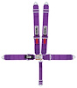 11045-6 Latch and Link Harness [6-Point, 3 in Belts, 50 in Length, Pull-Down, 6-Way Bolt-In, Clip-In] - image 1