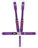 11045DB Latch and Link Harness [5-Point, 3 in Belts, 50 in Length, Pull-Down, Dog Bone, Clip-In, Sub-Belt Bolt-In, Bolt-In]