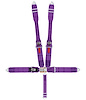 11045P Latch and Link Harness [5-Point, 3 in Belts, 50 in Length, Pull-Down, Pads, Clip-In, Sub-Belt Bolt-In, Bolt-In] - image 1