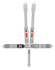 11046DB Latch and Link Harness [5-Point, 3 in Belts, 50 in Length, Pull-Down, Dog Bone, Clip-In, Sub-Belt Bolt-In, Bolt-In] - image 1