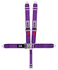 11055 Quick Adjust Latch and Link Harness [5-Point, 3 in Belts, 50 in Length, Pull-Down, 4 Eye Bolts Included, Clip-In] - image 1