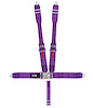 11055DB Quick Adjust Latch and Link Harness [5-Point, 3 in Belts, 50 in Length, Pull-Down, 4 Eye Bolts Included, Bolt-In] - image 1
