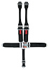 11064DB-Q Racing Harness [5-Point, 3 in., Quick-Adjust, Pull-Down, Blue, Bolt-In] - image 1