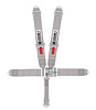 11066-Q Racing Harness [5-Point, 3 in., Quick-Adjust, Pull-Down, Gray, Bolt-In] - image 1