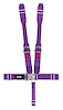 11075 Quick Adjust Latch and Link Harness [5-Point, 3 in Belts, 50 in Length, Pull-Down, Wrap-Around, Purple] - image 1