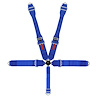 11103PRO-Q Racing Harness [5-Point, 3 in., Cam-Lock, Pull-Down, Blue, Bolt-In] - image 1