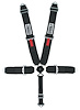 11104-Q Racing Harness [5-Point, 3 in., Cam-Lock, Pull-Down, Black, Bolt-In] - image 1