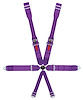 11145-6DB Kamlock Harness [6-Point, 3 in Belts, 50 in Length, Pull-Down, Dog Bone, Individual, 2 Eye Bolts Included] - image 1