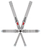 11146-6 Kamlock Harness [6-Point, 3 in Belts, 50 in Length, Pull-Down, 2 Eye Bolts Included, Clip-In, Wrap-Around] - image 1