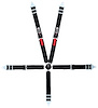11174-Q Junior Racing Harness [5-Point, 2 in., Latch and Link, Pull-Down, Black, Bolt-In] - image 1