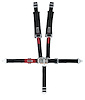 11174B-Q Junior Racing Harness [5-Point, 2 in., Latch and Link, Pull-Down, Black, Bolt-In] - image 1