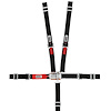 11184B-Q Junior Racing Harness [5-Point, 2 in., Latch and Link, Pull-Down, Black, Bolt-In] - image 1