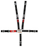 11184WB-Q Junior Racing Harness [5-Point, 2 in., Latch and Link, Pull-Down, Black, Wrap-Around] - image 1
