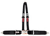 11194 Latch and Link Harness [4-Point, 3 x 2 in Belts, Sand Car, V-Harness, Bolt-In, Black] - image 1