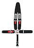 20026A Latch and Link Harness [5-Point, 3 in Belts, Pull-Up, V-Harness, Bolt-In, Gray] - image 1