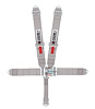 20076 Quick Adjust Latch and Link Harness [5-Point, 3 in Belts, 40 in Length, Pull-Down, Bolt-In, Gray] - image 1
