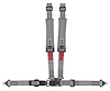 20106BP Latch and Link Harness [4-Point, 2 x 2 in Belts, Sand Car, Pads, Black Hardware, Bolt-In, Gray] - image 1