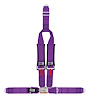 20133 Latch and Link Harness [4-Point, 3 x 3 in Belts, Sand Car, Bolt-In, Wrap-Around, Blue]